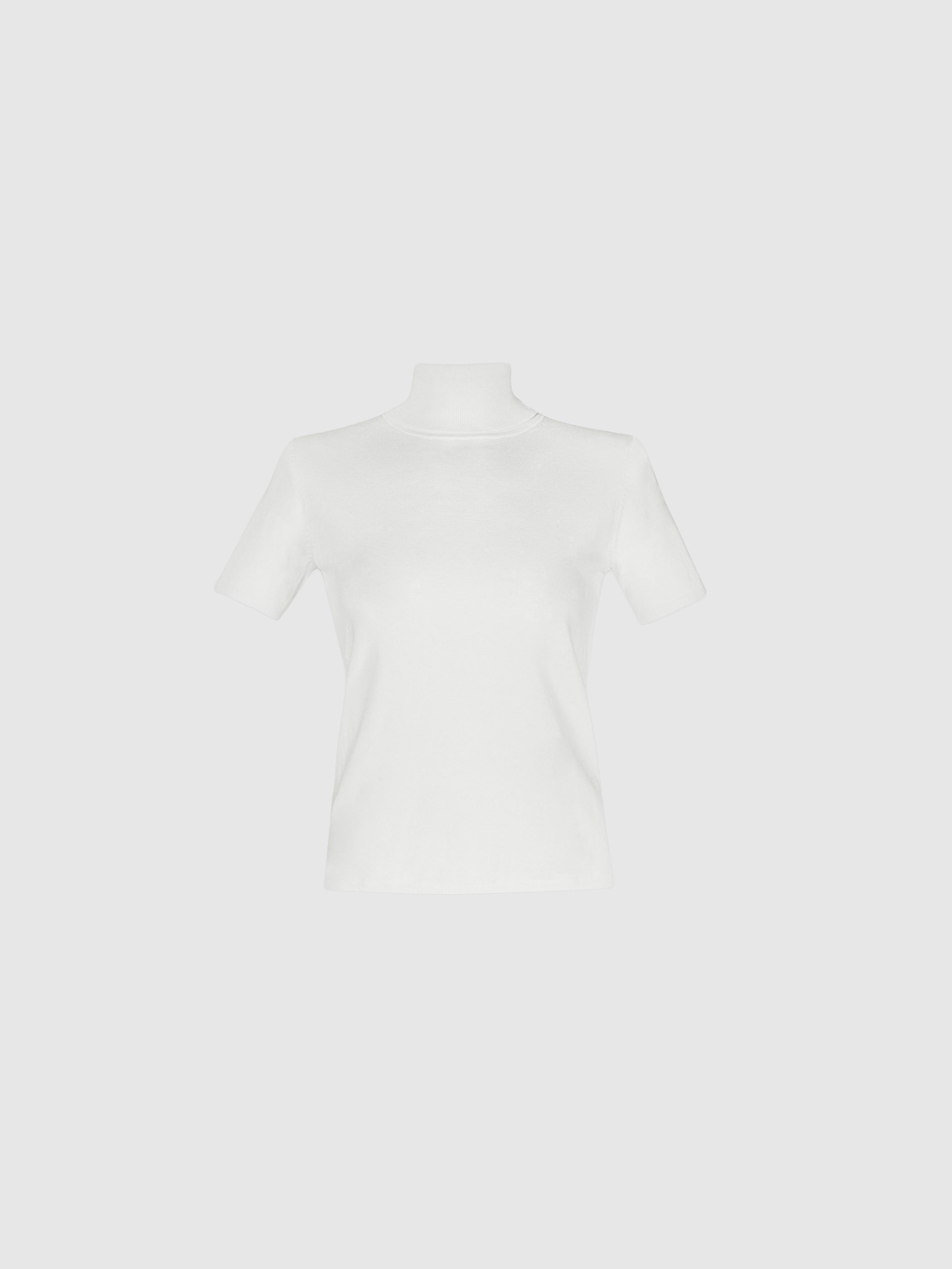 Pola Turtleneck Knit