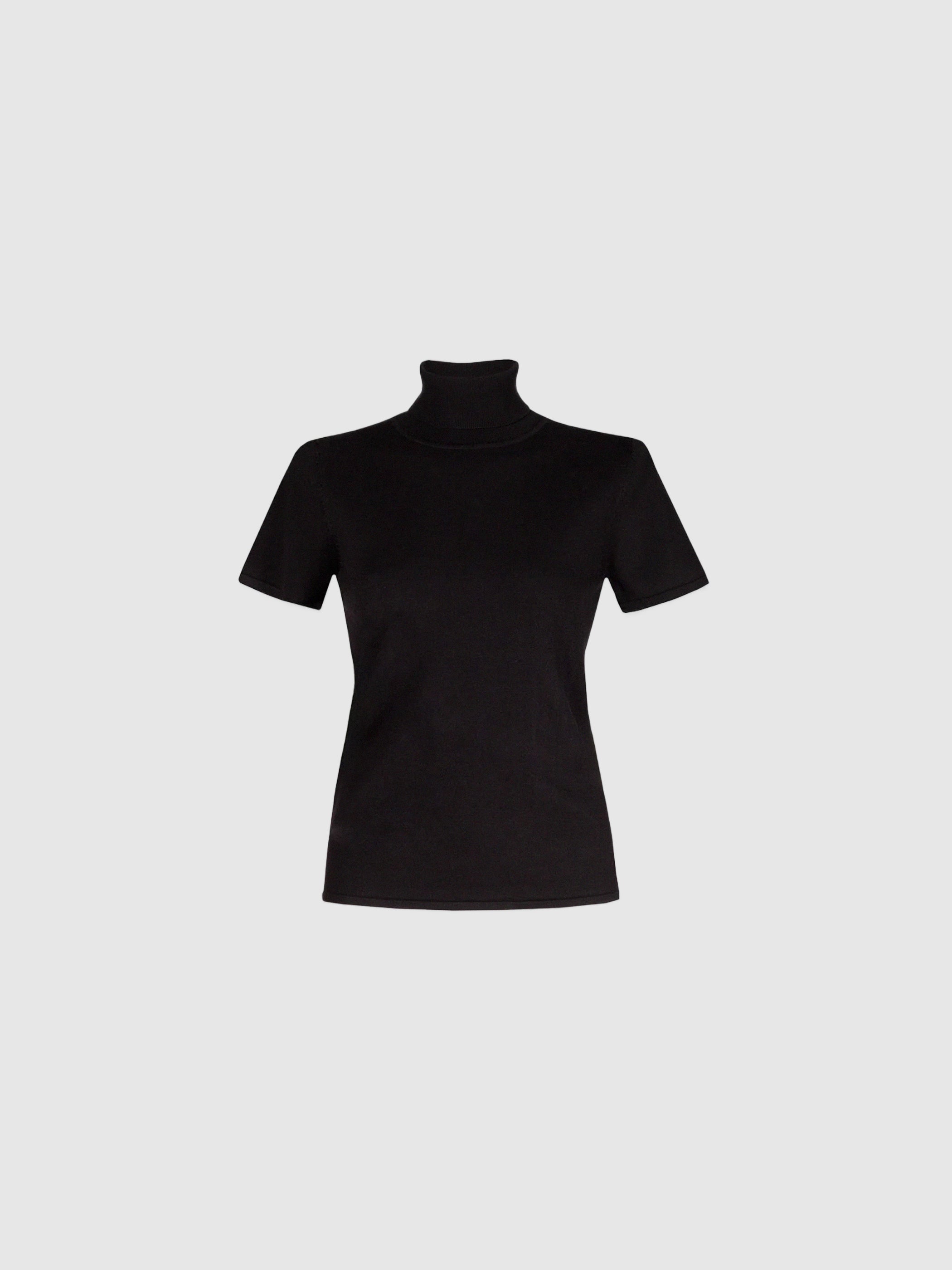 Pola Turtleneck Knit