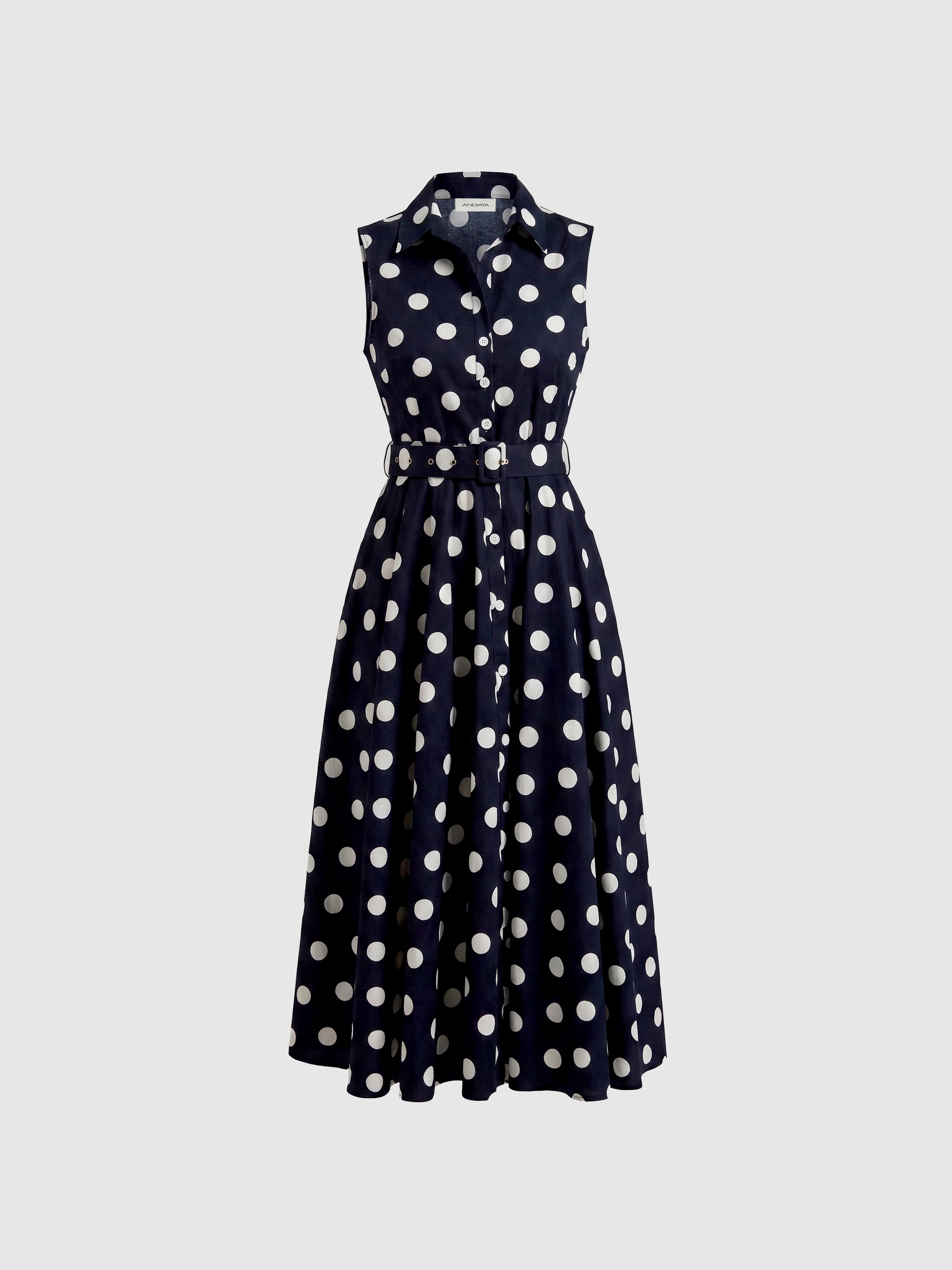 Aramis Dress
