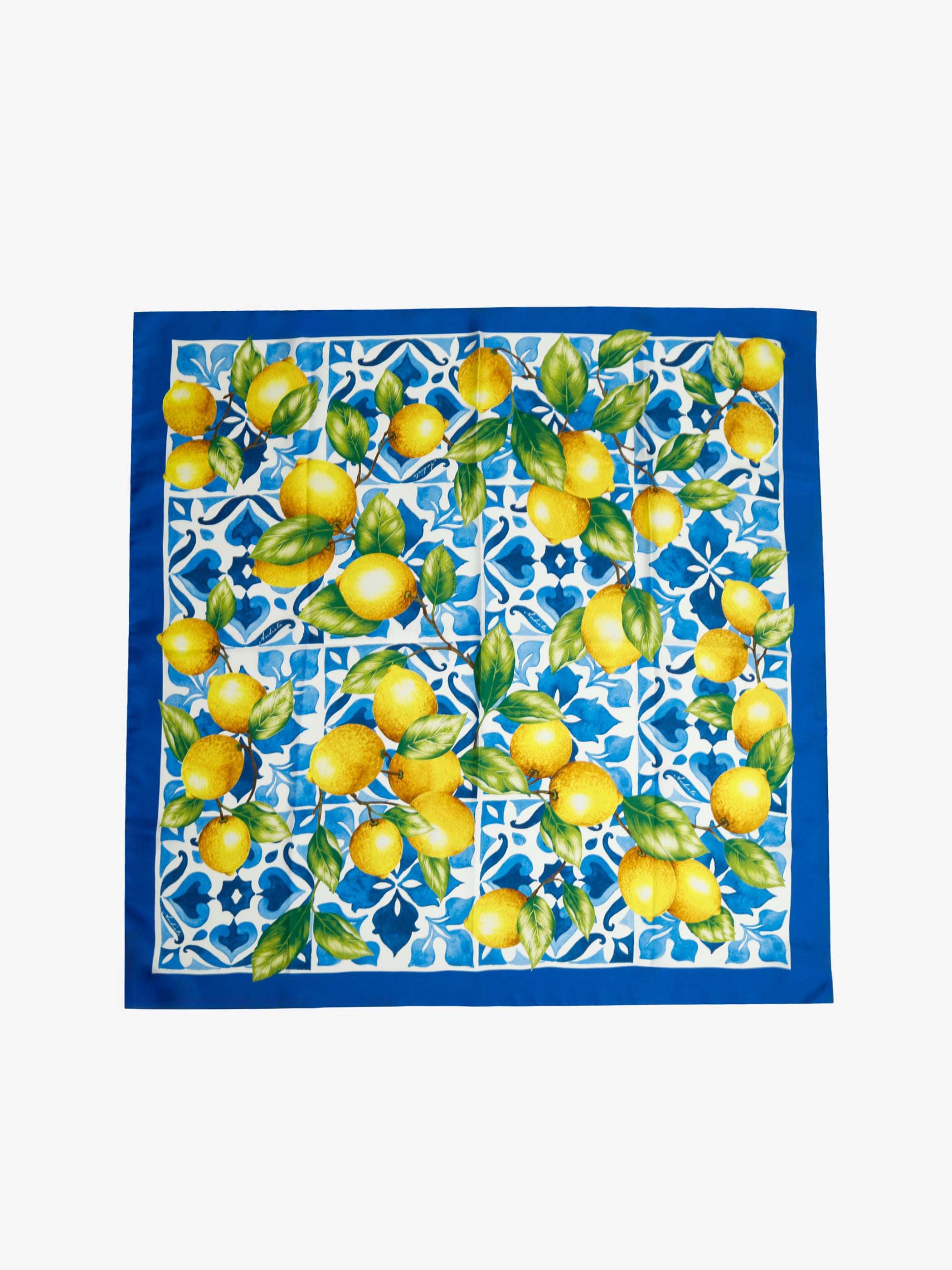 Ouna Silk Scarf